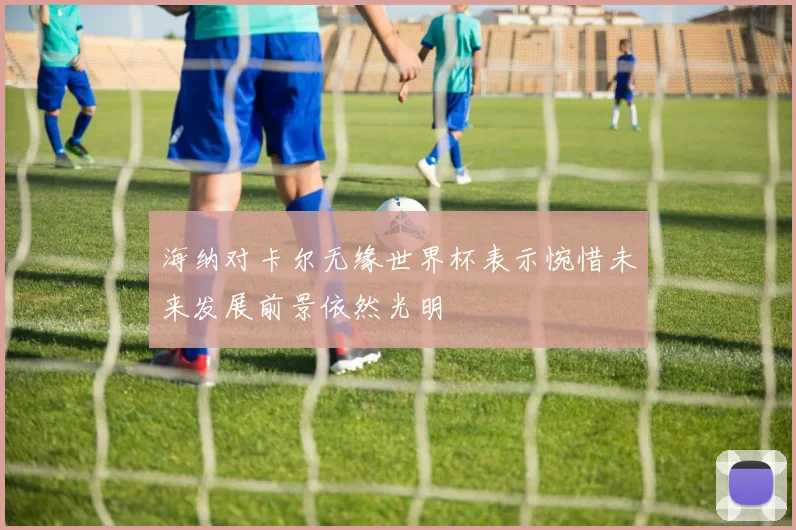 海纳对卡尔无缘世界杯表示惋惜未来发展前景依然光明